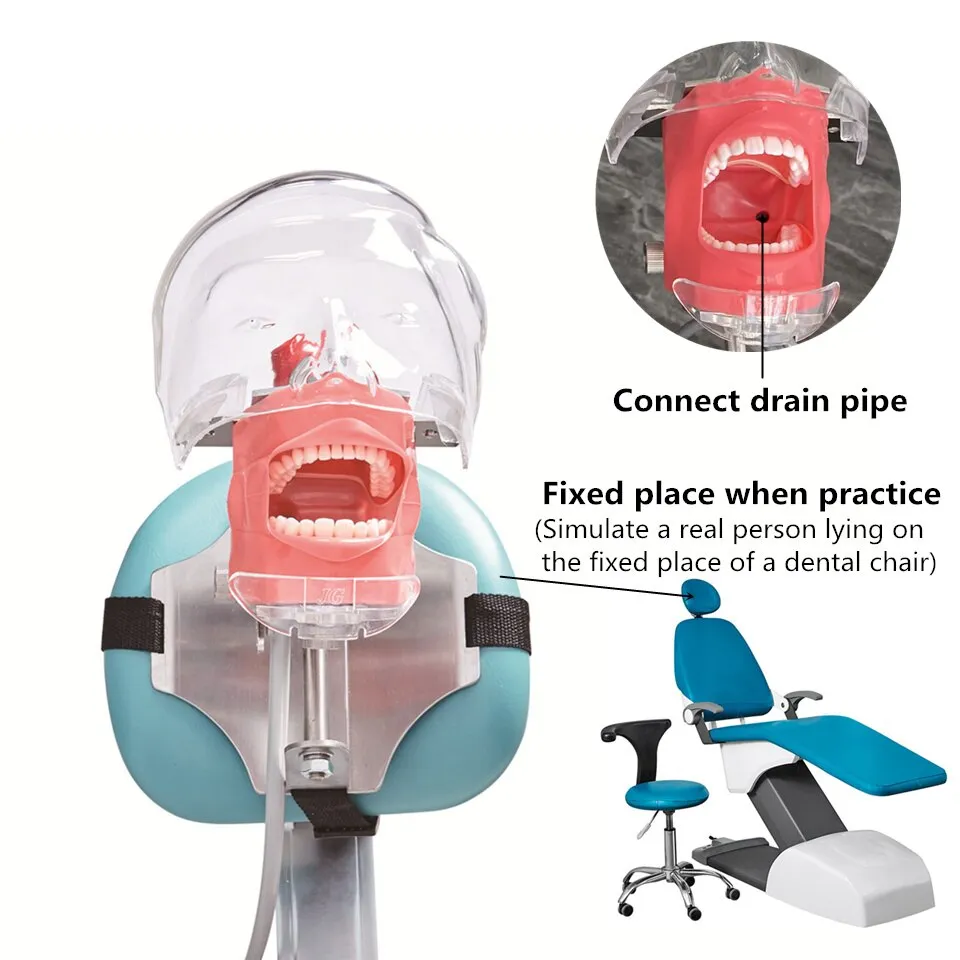 Karakeeb Product Details Simple Head Model Dental Simulator Phantom