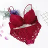 -Lingerie-Set-Underwear-Women-Push-Up-Lenceria-Mujer-Femme-Underwire-Langerie-Girl-Bralette-Bras-AndvanSXv14.webp