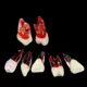 1PCS-Dental-Endodontic-Tooth-Model-With-Colored-Root-Canal-And-Pulp-Model-For-Student-Study-PracticeBuoJup2I.webp