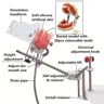 l-Dental-Simulator-Phantom-Manikin-With-Teeth-For-Dentist-Teaching-Practice-Training-Study-Dentistry0htvtXLH.webp