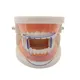 r-Dental-Orthodontic-Lip-Cheek-Retractor-Expander-Dental-Mouth-Accessory-Oral-Tooth-Care-OrthodonticpZ738E8k.webp